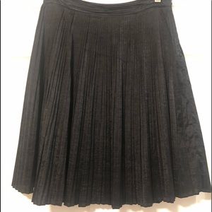 Club Monaco Micro Pleated Skirt